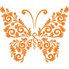 Motýl na rozkvetlé louce